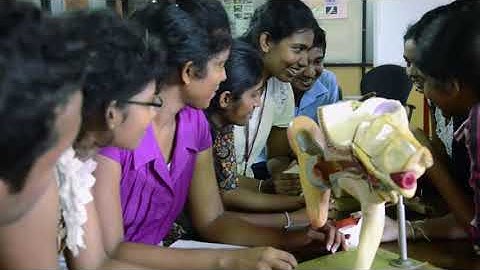 University Introduction 2016