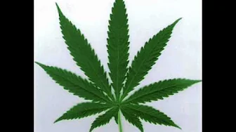 Israel Vibration - Jah Is The Way Israel Vibration - Jah Is The Way