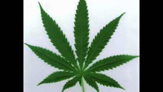 Israel Vibration  Jah Is The Way