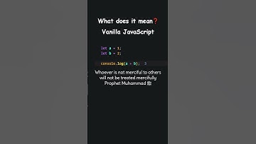 What does it mean ❓ Vanilla JavaScript