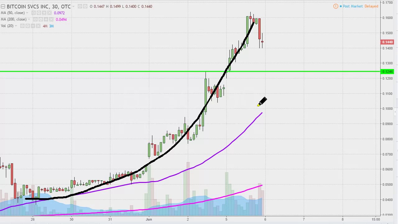 bitcoin services inc stock