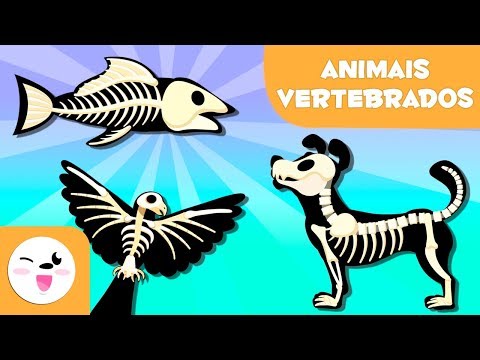 Vídeo: Os mamíferos têm escamas?