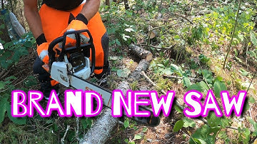 Testing a Brand New Stihl MS250 Chainsaw