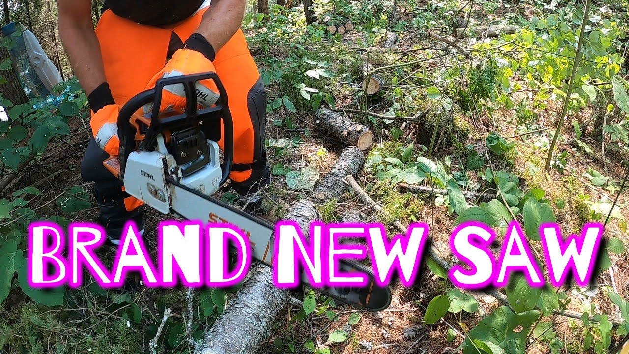 Testing a Brand New Stihl MS250 Chainsaw - YouTube