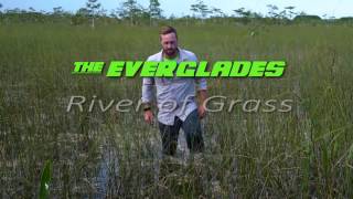 The Everglades River of Grass