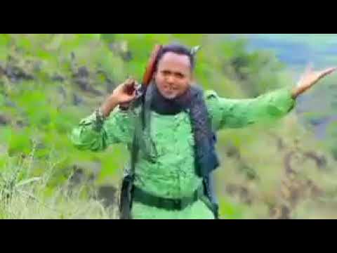 Duet Haveitoldyoulatelythatiloveyou Love ፋኖ ኪሮስ ደርቤ