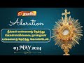  live 03 may 2024 adoration 1100 am  madha tv