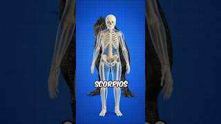 Scorpios Rex Hunt Explained You Cant Hide In The Dark