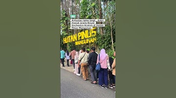 Thumbnail of The queue for the Kraton Yogyakarta Royal Orchestra concert is really crowded, is anyone here too...