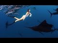 Roberta Mancino Bikini Dives With, And Dodges, The World's Fastest Fish | Robertalicious, Ep. 5