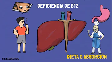 ¿Qué ocurre si no se trata la carencia de vitamina B12?