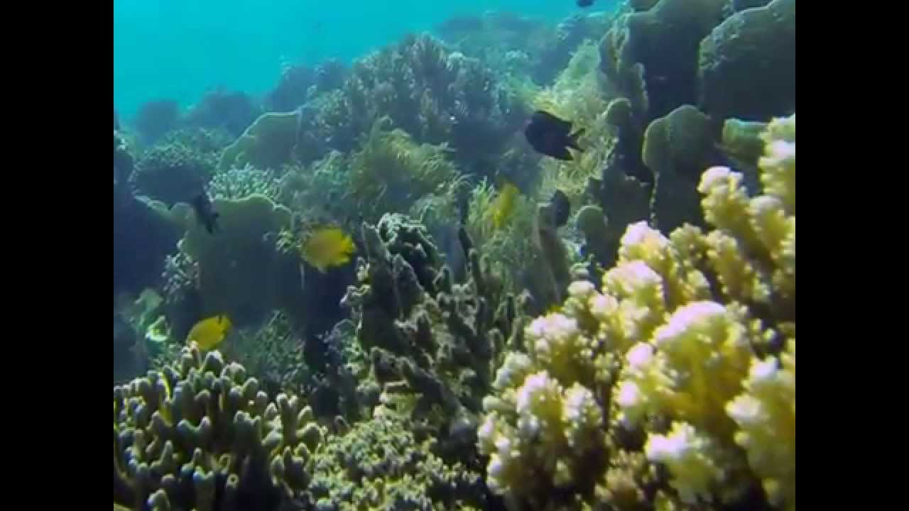 The Jewel of Davao Gulf (Mabini Protected Landscapes & Seascapes) - YouTube