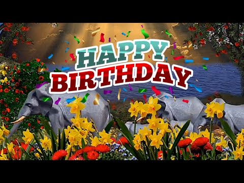 happy-birthday-elephants