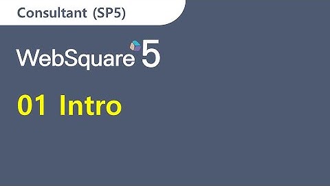 01 Into | Consultant | WebSquare5 - Training