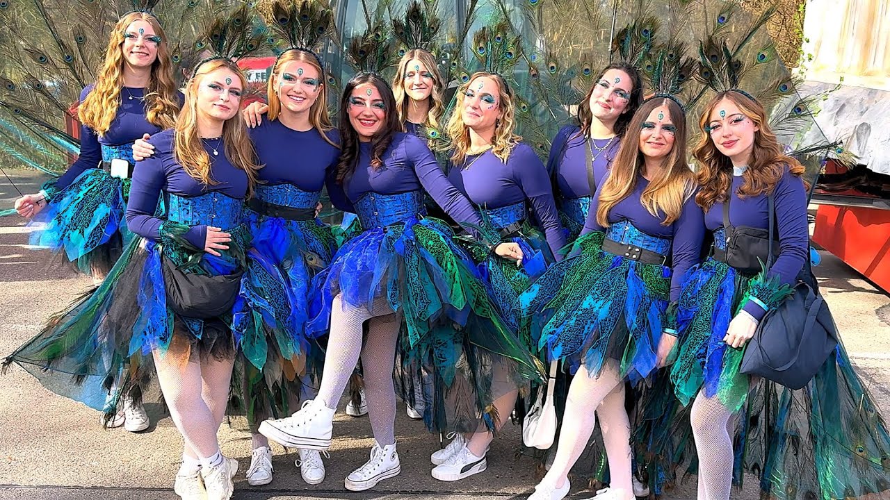 Zugaufstellung zum Veilchendienstagsumzug in Heimbach-Weis am 04.03.2025