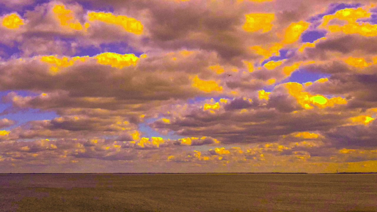 Young Orange - Found (Audio)