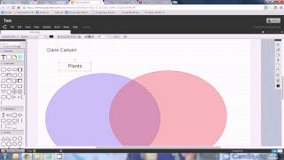 Teachers Venn Diagram in Lucidchart