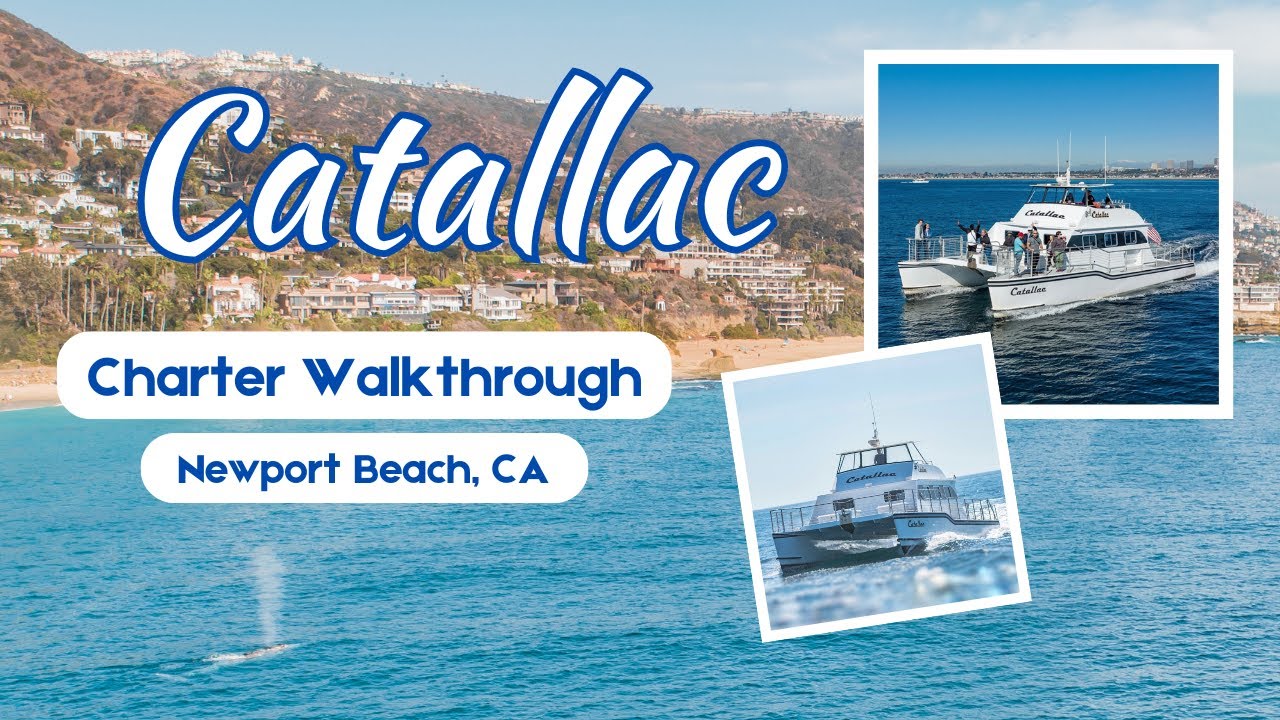 Catallac, Luxury Yacht, Private Charters Harbor Cruises, Whale Watching