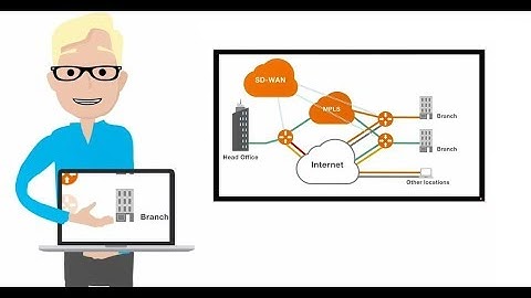 Orange Flexible SD-WAN: An explanimation