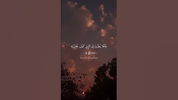 سورة الغاشية|| القارئ عبدالرحمن مسعد #عبدالرحمن_مسعد