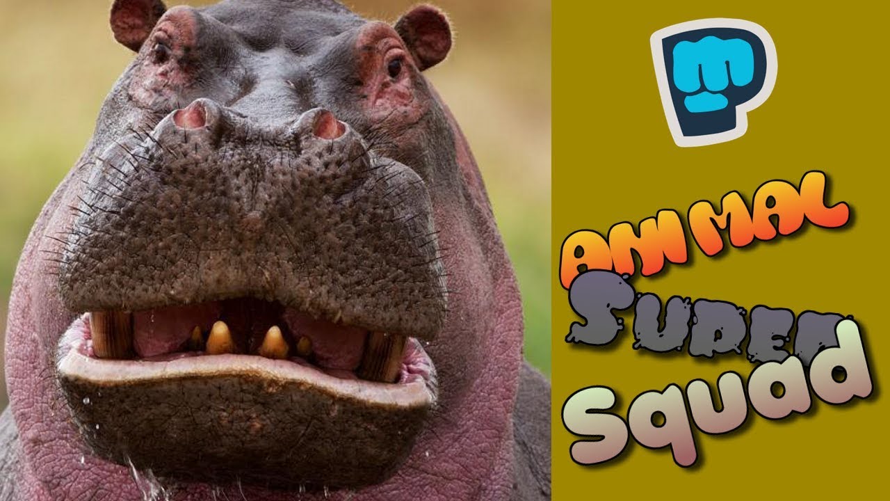Best Game Ever! - Animal Super Squad (Pewdiepie Game)