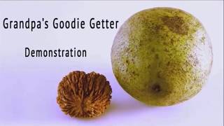 Black Walnut Cracker - Demonstration - ASL