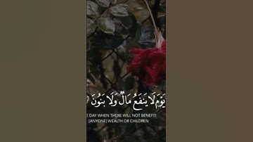 سورة الشعراء الاية{87-89}