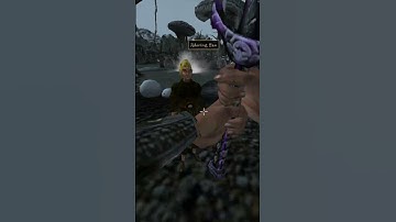 Killing the adoring fan in Morrowind every day until Skywind and Skyblivion are released Day - 859