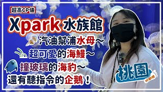 【前往桃園】桃園Xpark水族館超可愛的海鰻動物都會跟我打招呼案發現場水豚君下集