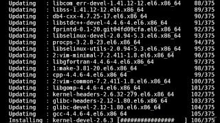 Tutorial: Upgrading Your CentOS / RHEL Current System screenshot 2