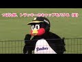 つば九郎、トラッキーのキャップをパクる（笑）