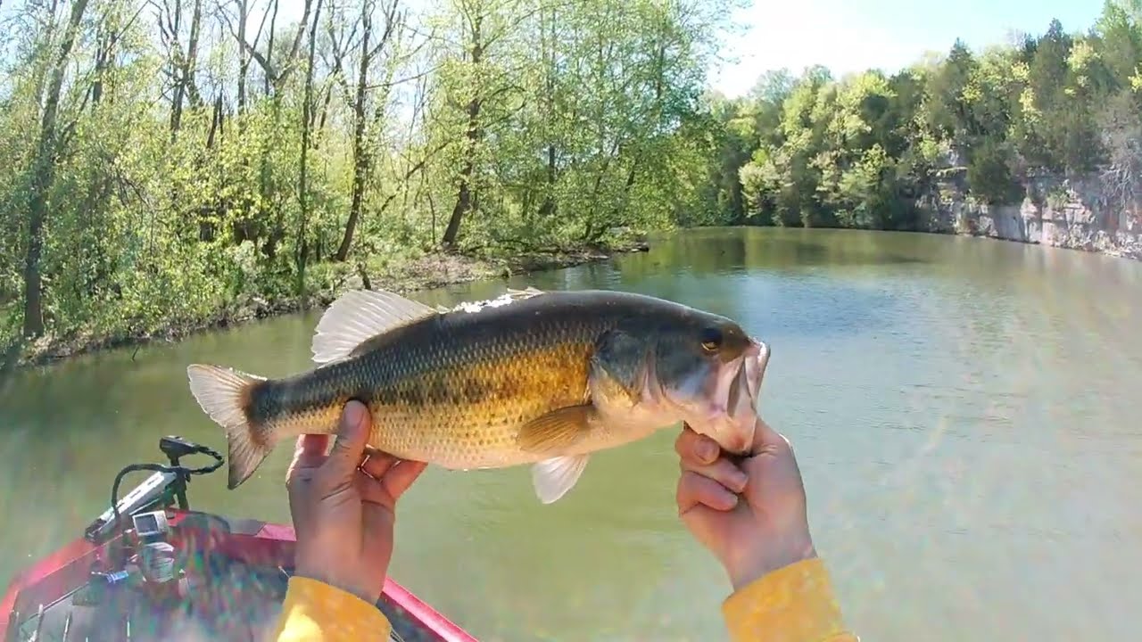 Late April 2024 Bass Fishing Old Hickory Lake