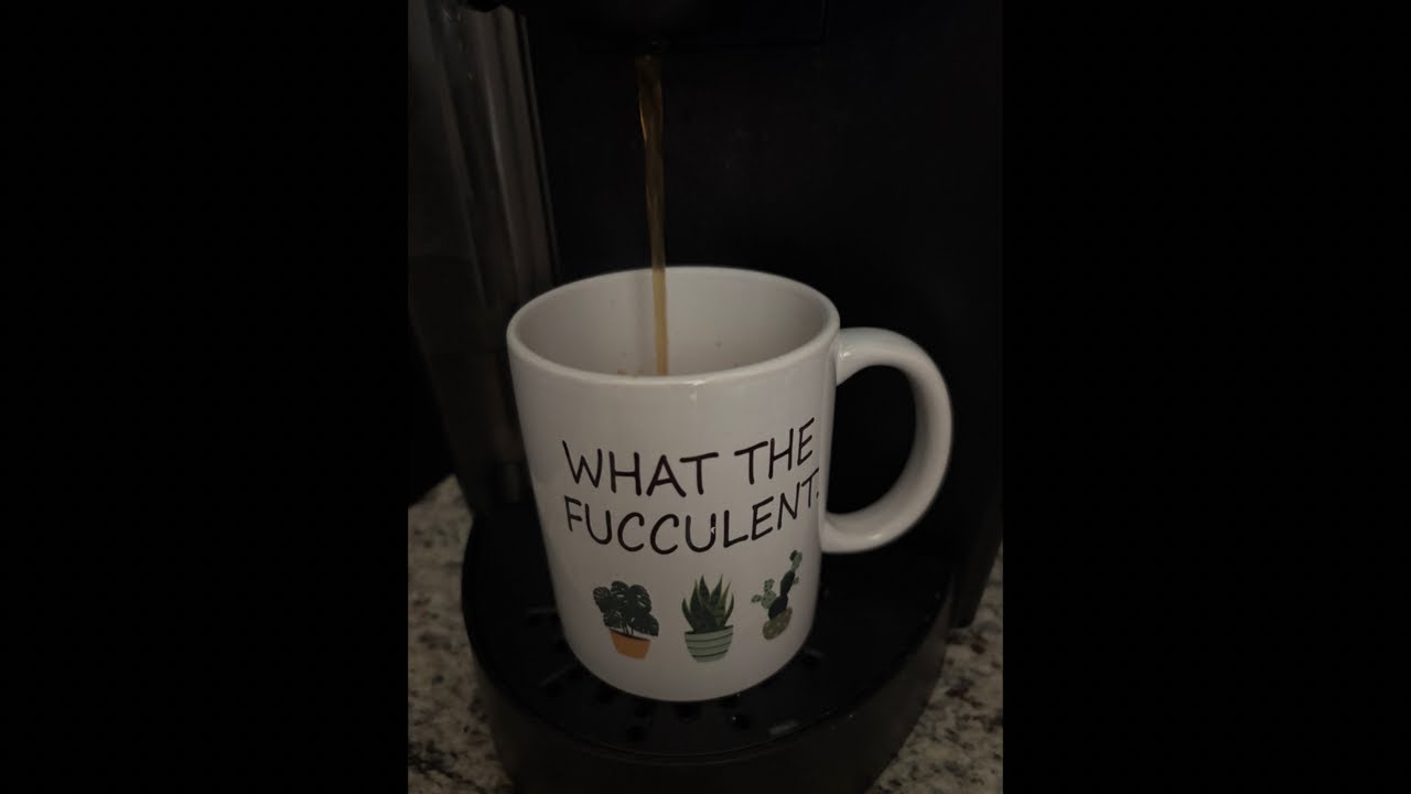 MeLissaB в прямом эфире! Понедельник, Мелисса! ☕️☕️☕️☕️☕️