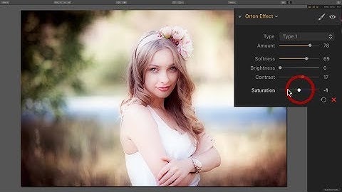 Luminar 2018 Tips & Tricks - Episode 9: Orton Effect