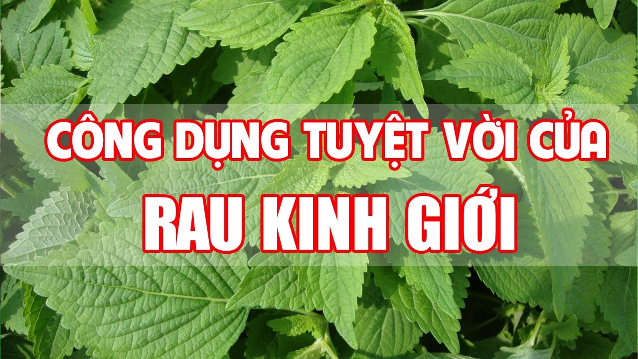 Bi thuc dn gian: Cng dng bt ng ca rau kinh gii