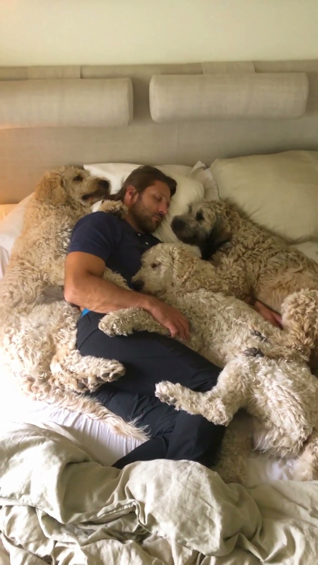 Dog Dad Naps With Fur Babies || ViralHog