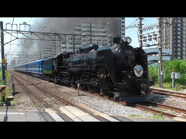 2025年7月26日 JRで唯一となった青い12系客車が行く!! 蒸気機関車 C61