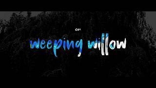 C41 - Weeping Willow