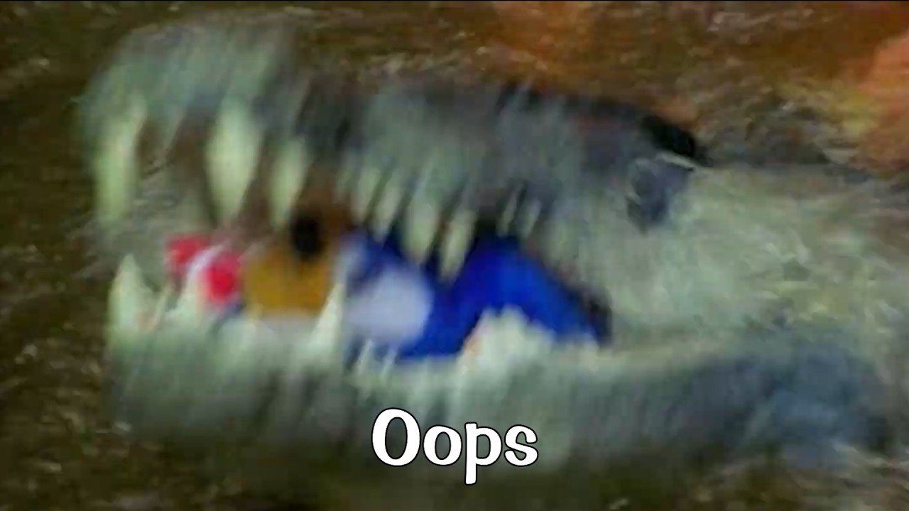 Sonic's Biggest Mistake