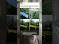 Guy Glued A Toy Horse To His Phone Case Directly In Front Of The Camera Lens