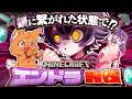 【Minecraft】"犬"と一緒にエンドラ討伐...?【#瀬兎一也 /ズズ】