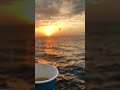 سورة يوسف بصوت الشيخ معاذ قران القران الكريم معاذ صيام سورة يوسف بصوت الشيخ معاذ قران القران الكريم معاذ صيام