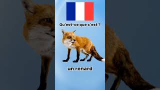 Learn French Easy #frenchlanguage #learnfrench