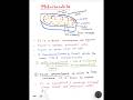 🚨Mitochondria|cell the unit of life|organelles#neet#biology#easy#study#exam#shorts#ytshorts#viral 🎯