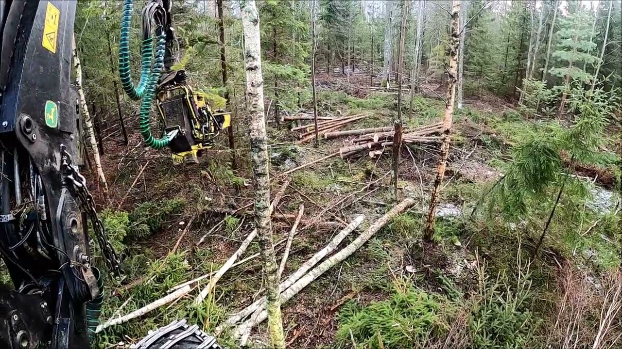 Klen förstagallring med john deere 1170e