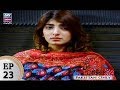 Watch Mubarak Ho Beti Hoi Hai Episode 23 - ARY Zindagi Drama Online In HD