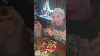have lunch with us!!! #monkeymom #petmonkey #monkeyeating #eatwithme #eatwithus #cutemonkey