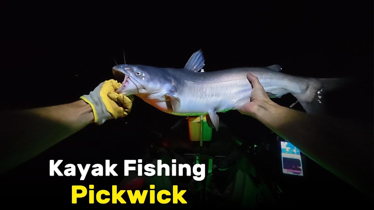 Kayak fishing Pickwick at Night