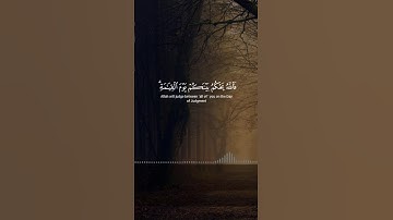 فالله يحكم بينكم يوم القيامة.. #سعود_الشريم #ريحانة_قرآن #قرآن #quran #تلاوات #لايك #تلاوة_خاشعة