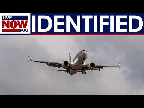 ATTEMPTED HIJACKING: Co-pilot identified in FlyDubai incident